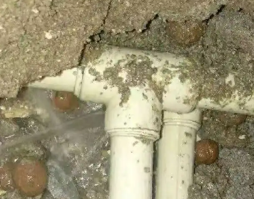 政和测漏水多少钱