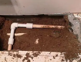 政和测漏水哪家好