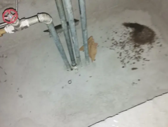 政和卫生间测漏水价格明细