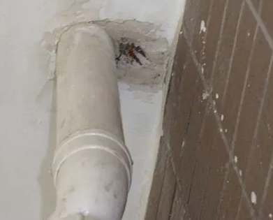 政和漏水检测哪家好